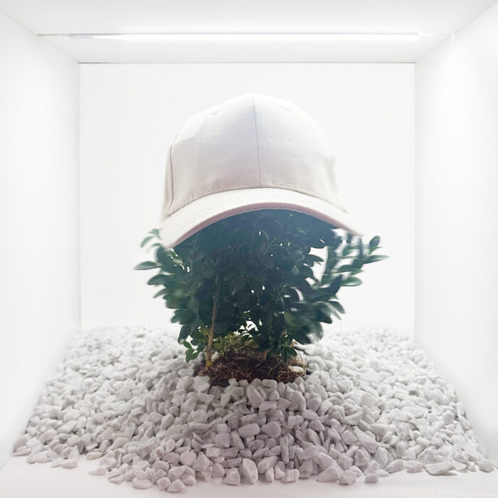Museum Express – Annegien van Doorn